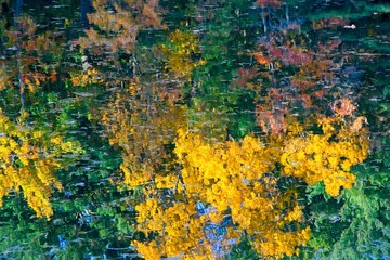 Fall foliage reflecting off shimmering pond surface