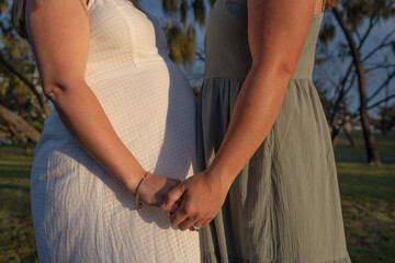 pregnant lesbian couple holding hands
