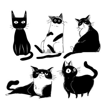 Hand drawn cats sketch set silhouette, line, black and white vector illustration.