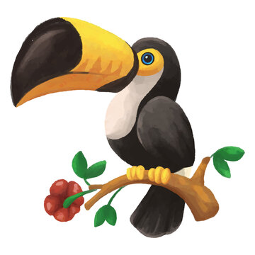Cartoon cute Toucan bird watercolor art isolated on white background