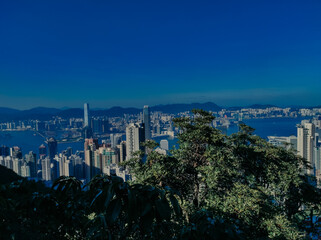Fototapeta premium View of Hong Kong city from the top of The Peak Tower, Hong Kong