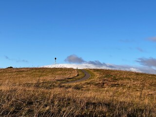 landscape with a field