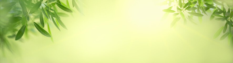 Nature of green leaf in garden at summer. Natural green leaves plants using as spring background cover page greenery environment ecology lime green wallpaper