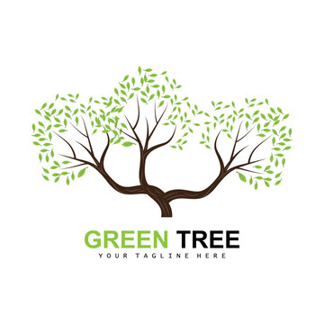 Tree Logo, Green Trees And Wood Design, Forest Illustration, Trees Kids Games