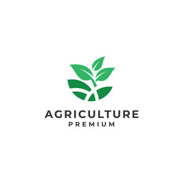 Agriculture logo design vector farm icon design