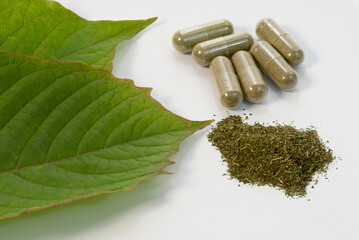 Fresh green Kratom leaves and natural herbal medicine powder capsule isolated on white background.	
