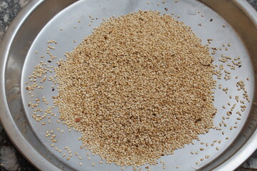 Organic White Sesame seeds (Sesamum indicum) or white Til in steal plate