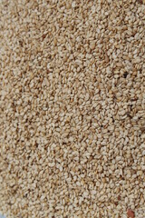 Fototapeta na wymiar Organic White Sesame seeds (Sesamum indicum) or white Til 