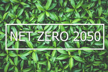 net zero 2050 carbon reduction concept