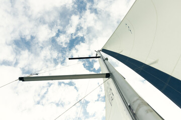 Fototapeta premium The white sails of the yacht catch the wind. Yachting. Front view.