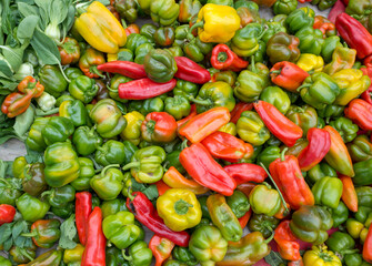 red and green peppers. red and , yellow peppers. 