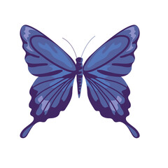 Flat Butterfly icon