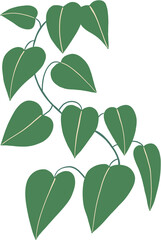 simplicity devil ivy freehand drawing