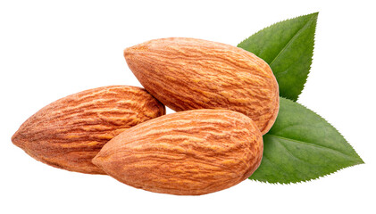 Roasted Delicious Almond isolated on white background, Roasted Almond on white PNG File.