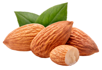 Roasted Delicious Almond isolated on white background, Roasted Almond on white PNG File.