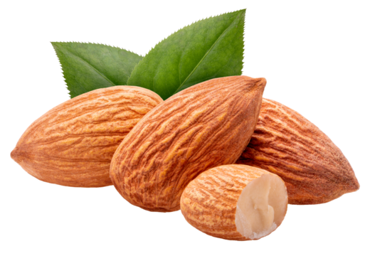 Roasted Delicious Almond isolated on white background, Roasted Almond on white PNG File.