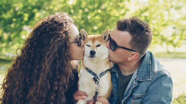 Loving owners of beautiful dog shiba inu are kissing the animal and petting it on the head while resting in the park together. Love, pets, people and healthy lifestyle concept.