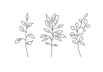 Continuous One Line Leaves Branch Set. Abstract Line Art of Flower with Leaves in Modern Linear Style. Vector Drawing of Simple Flowers For Beauty Logo Design, Printing, T-shirts, Postcard, Poster 