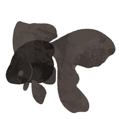 水彩風の横から見た黒色の金魚