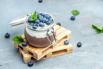 Chocolate panna cotta with blueberries. Chocolate pudding and greek yogurt parfait. Long banner...