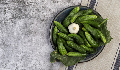 Ripe fresh cucumbers, ready to pickle on a round plate on a dark gray background. Top view, flat lay