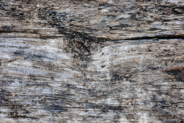 wood texture, dry wood texture.