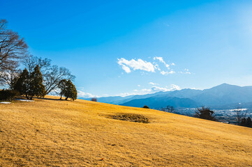 Obraz premium 冬の安曇野