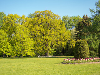 landscape on a sunny day