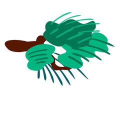 aesthetic tree branch