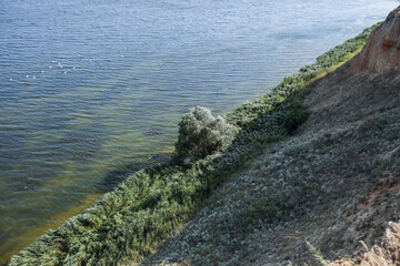 Beautiful view of sea coast on summer day