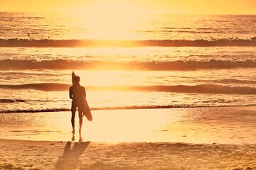 Obraz premium Surfer bei Sonnenuntergang