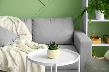 Table with houseplant and grey sofa near green wall