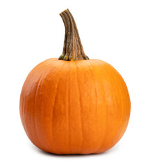 vegetable pumpkin isolated on a white background