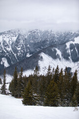 landscape panoramic view of snowed winter tatra mountains