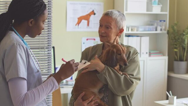 Mature Caucasian woman holding brown long haired dachshund in arms while listening to recommendations of African American female vet doctor after checkup at clinic