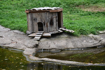 tiny animal house at the waters edge