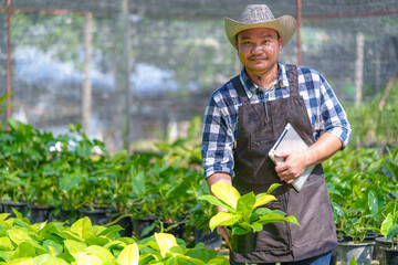Asian Young man farmer in a greenhouse inspects gardener checking quality green leafy working on the farm in pots the greenhouse small business owner banner production concept.