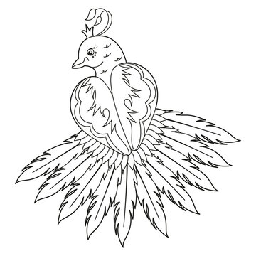 recommend clip art: The Peacock bird. Coloring book-antistress for adults. Black and white hand-drawn doodles for coloring books