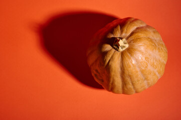 Top view of a whole organic ripe pumpkin, isolated on a bright orange background with copy...