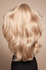 Back view of woman with long beautiful blond hair isolated on beige background. Dyeing and hair...