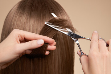 Hairdresser cuts long brunette hair with scissors. Hair salon, hairstylist. Care and beauty hair products. Dyed hair