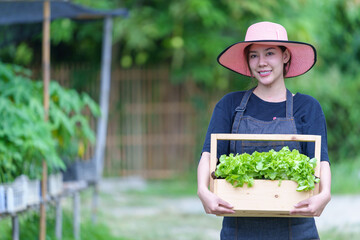 asian woman farmer holding basket full of fresh green vegetables salad in hydroponic farm Healthy food nutrition concept agriculture store owner concept woman holding a bucket full of fresh vegetables