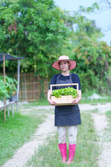 asian woman farmer holding basket full of fresh green vegetables salad in hydroponic farm Healthy food nutrition concept agriculture store owner concept woman holding a bucket full of fresh vegetables