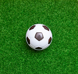 The soccer ball is placed on the green grass in the middle.