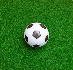 Fototapeta premium The soccer ball is placed on the green grass in the middle.