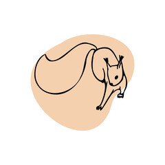 hand drawn squirrel icon on the white backround