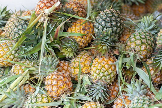 pineapples pile at market