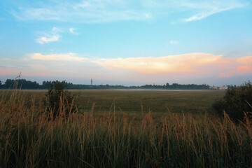 Landscape, grass and field in the foreground, forests on the horizon and blue skies. Nature in the summer