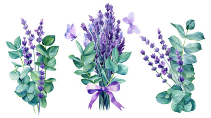 Lavender and eucalyptus. Watercolor Botanical. Floral design. Provence illustration