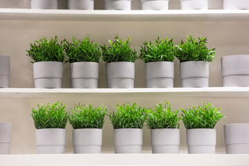 Artificial plants made of plastic in gray pots lined up on two shelves attached to the wall.